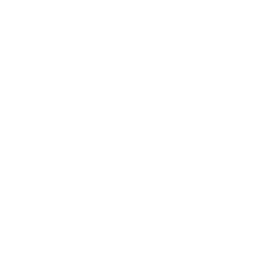 Tygrys
